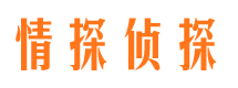 阿合奇侦探公司